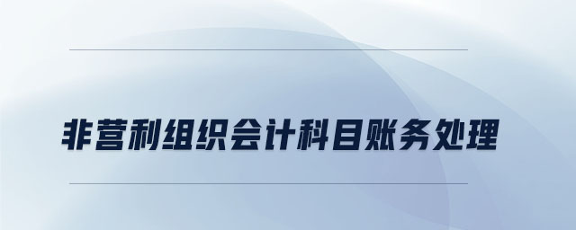 非營利組織會計科目賬務(wù)處理 非營利組織會計科目賬務(wù)處理