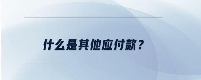 什么是其他應(yīng)付款？