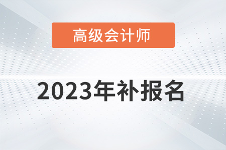 高級(jí)會(huì)計(jì)師補(bǔ)報(bào)名2023年是什么時(shí)候？