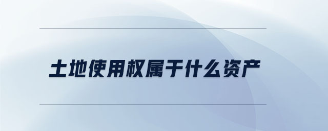 土地使用權(quán)屬于什么資產(chǎn)