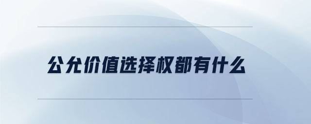 公允價(jià)值選擇權(quán)都有什么