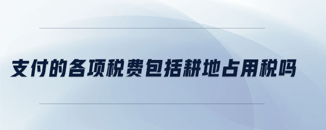 支付的各項稅費包括耕地占用稅嗎 支付的各項稅費包括耕地占用稅嗎
