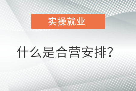 什么是合營(yíng)安排？