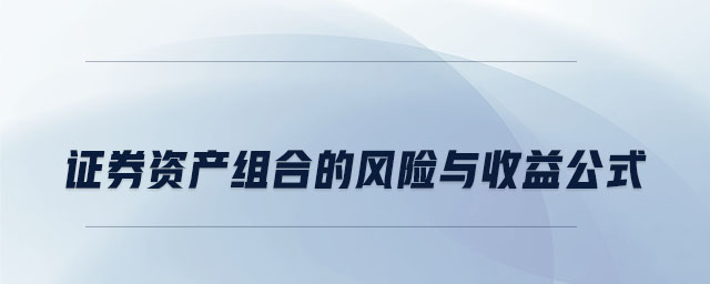 證券資產(chǎn)組合的風(fēng)險(xiǎn)與收益公式