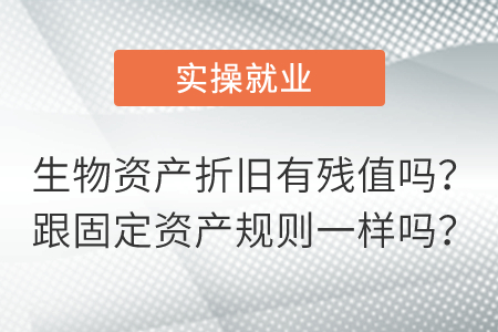 生物資產(chǎn)折舊有殘值嗎？跟固定資產(chǎn)規(guī)則一樣嗎？