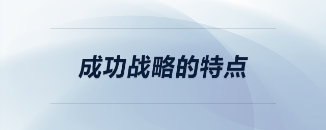 成功戰(zhàn)略的特點 成功戰(zhàn)略的特點