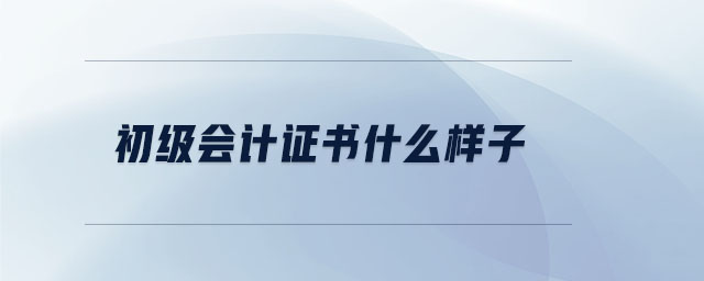 初級(jí)會(huì)計(jì)證書什么樣子