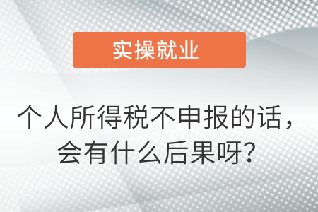個人所得稅不申報的話，會有什么后果呀？