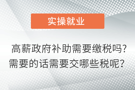 高薪政府補助需要繳稅嗎?需要的話需要交哪些稅呢？