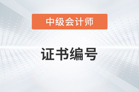 中級會計師證書號是哪一個你了解嗎？