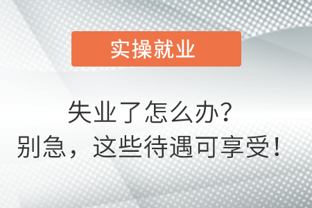 失業(yè)了怎么辦？別急，這些待遇可享受！