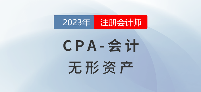 注會(huì)會(huì)計(jì)預(yù)習(xí)章節(jié)速覽:第四章無(wú)形資產(chǎn) 注會(huì)會(huì)計(jì)預(yù)習(xí)章節(jié)速覽:第四章無(wú)形資產(chǎn)