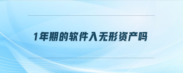 1年期的軟件入無形資產嗎 1年期的軟件入無形資產嗎