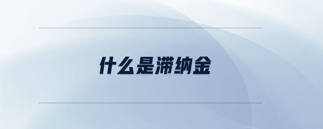 什么是滯納金 什么是滯納金