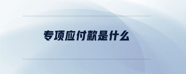 專項應付款是什么