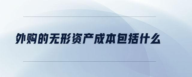 外購的無形資產成本包括什么