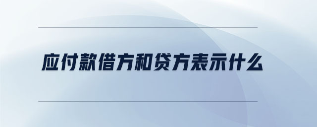 應付款借方和貸方表示什么