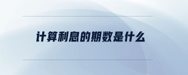計算利息的期數(shù)是什么