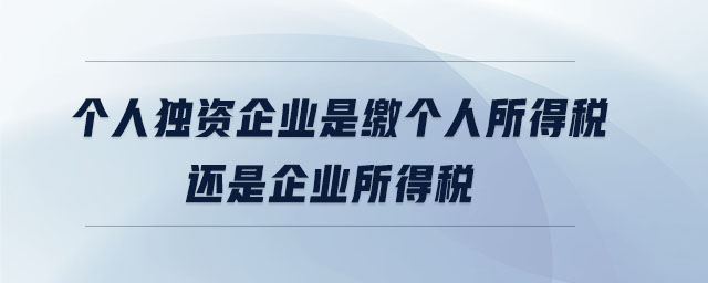 個人獨資企業(yè)是繳個人所得稅還是企業(yè)所得稅 個人獨資企業(yè)是繳個人所得稅還是企業(yè)所得稅