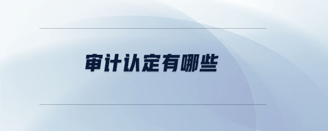 審計認定有哪些