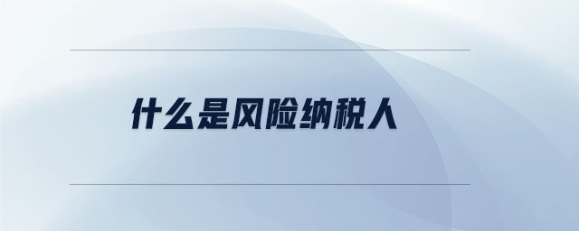 什么是風險納稅人