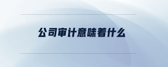 公司審計意味著什么
