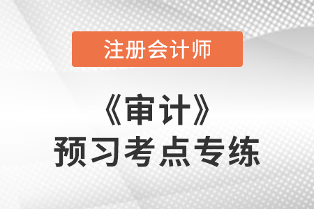 職業(yè)懷疑_注會(huì)審計(jì)預(yù)習(xí)考點(diǎn)專練