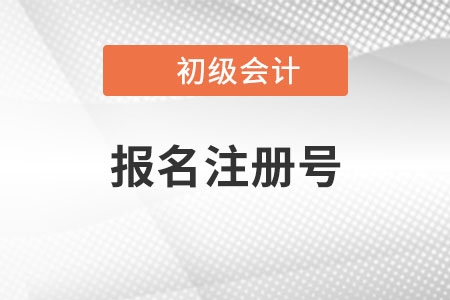 初級會計(jì)報(bào)名注冊號是什么？有什么用？