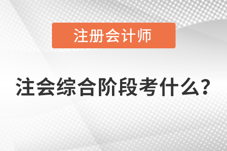 注冊(cè)會(huì)計(jì)師綜合階段考試考什么