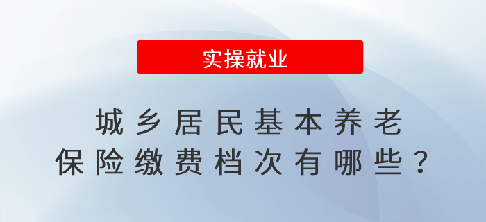 城鄉(xiāng)居民基本養(yǎng)老保險(xiǎn)繳費(fèi)檔次有哪些？