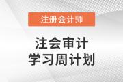 2023年注會審計基礎(chǔ)階段學習計劃！建議收藏！