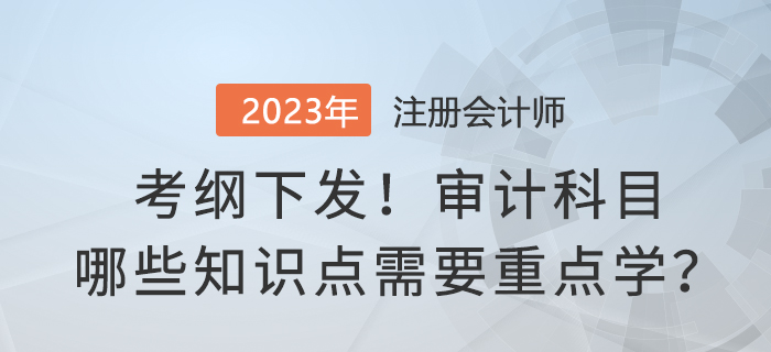 考綱下發(fā)！2023年注會(huì)審計(jì)哪些知識(shí)點(diǎn)需要重點(diǎn)學(xué)？