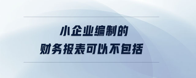 小企業(yè)編制的財(cái)務(wù)報(bào)表可以不包括