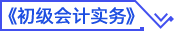 初級(jí)會(huì)計(jì)實(shí)務(wù)
