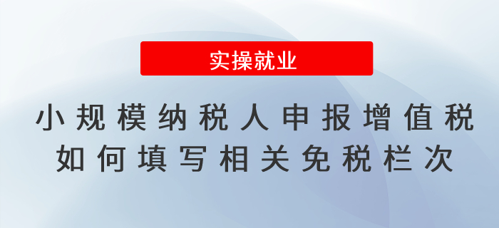 增值稅減免政策小規(guī)模納稅人申報增值稅如何填寫相關免稅欄次？