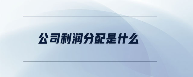 公司利潤(rùn)分配是什么