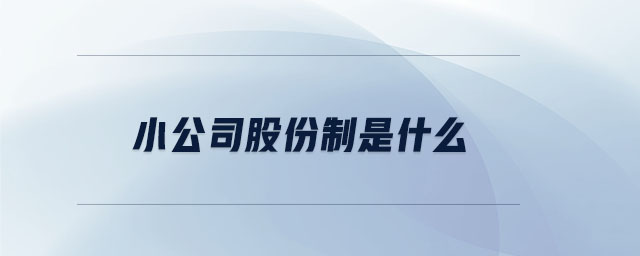 小公司股份制是什么