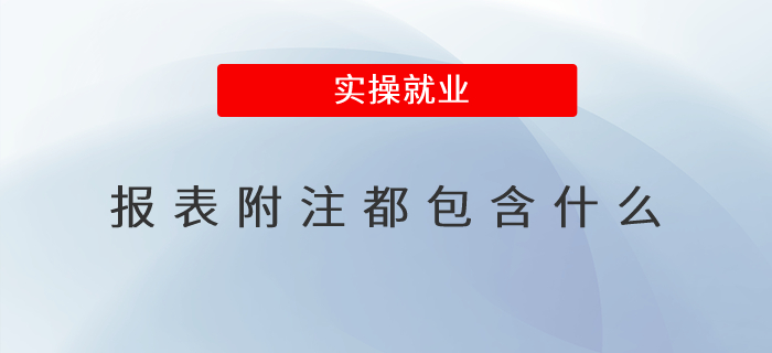 報表附注都包含什么 報表附注都包含什么