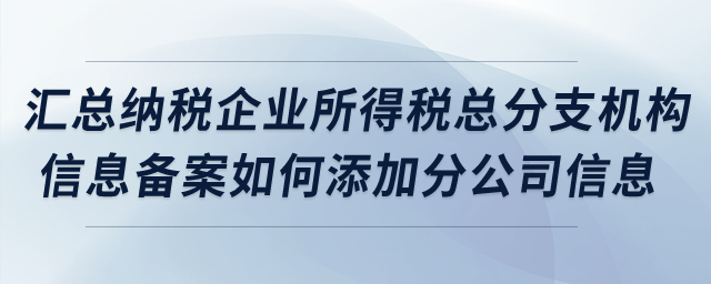 匯總納稅企業(yè)所得稅總分支機構(gòu)信息備案如何添加分公司信息？