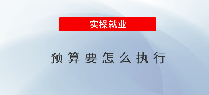 預(yù)算要怎么執(zhí)行 預(yù)算要怎么執(zhí)行