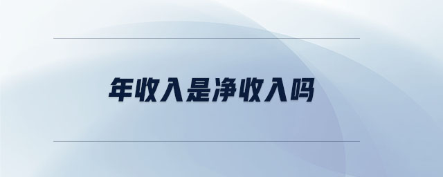 年收入是凈收入嗎 年收入是凈收入嗎