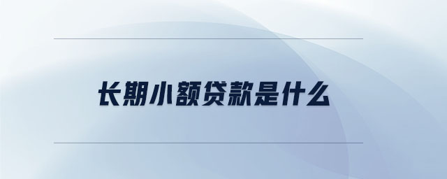 長期小額貸款是什么