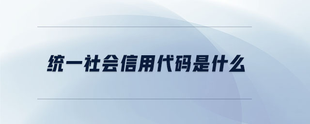 統(tǒng)一社會(huì)信用代碼是什么 統(tǒng)一社會(huì)信用代碼是什么