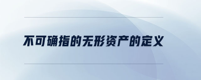 不可確指的無形資產(chǎn)的定義