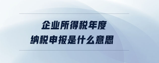 企業(yè)所得稅年度納稅申報是什么意思 企業(yè)所得稅年度納稅申報是什么意思