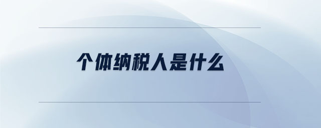 個體納稅人是什么 個體納稅人是什么