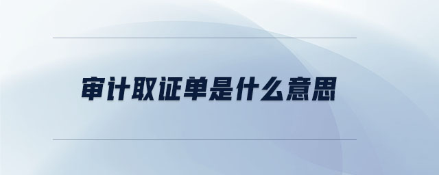 審計取證單是什么意思 審計取證單是什么意思