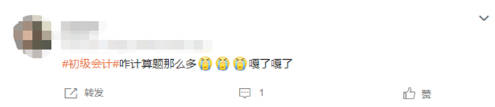 初級(jí)會(huì)計(jì) 計(jì)算很多