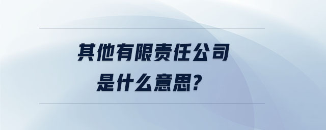 其他有限責(zé)任公司是什么意思 其他有限責(zé)任公司是什么意思