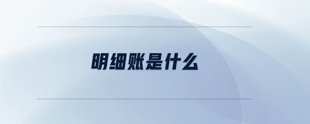 明細(xì)賬是什么